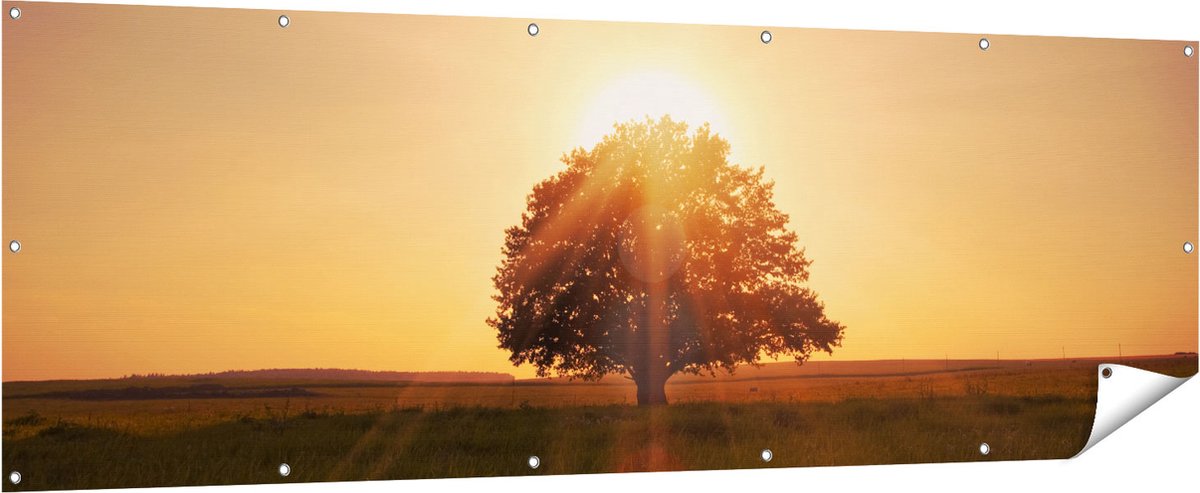 Gards Tuinposter Zonsondergang Achter een Grote Boom - 210x70 cm - Tuindoek - Tuindecoratie - Wanddecoratie buiten - Tuinschilderij Multikleur