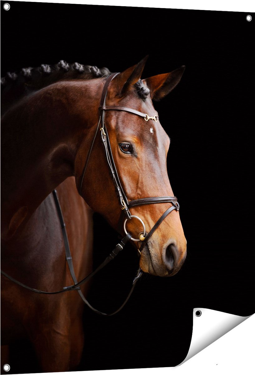 Gards Tuinposter Bruin Paard op een Zwart Achtergrond - 80x100 cm - Tuindoek - Tuindecoratie - Wanddecoratie buiten - Tuinschilderij Multikleur