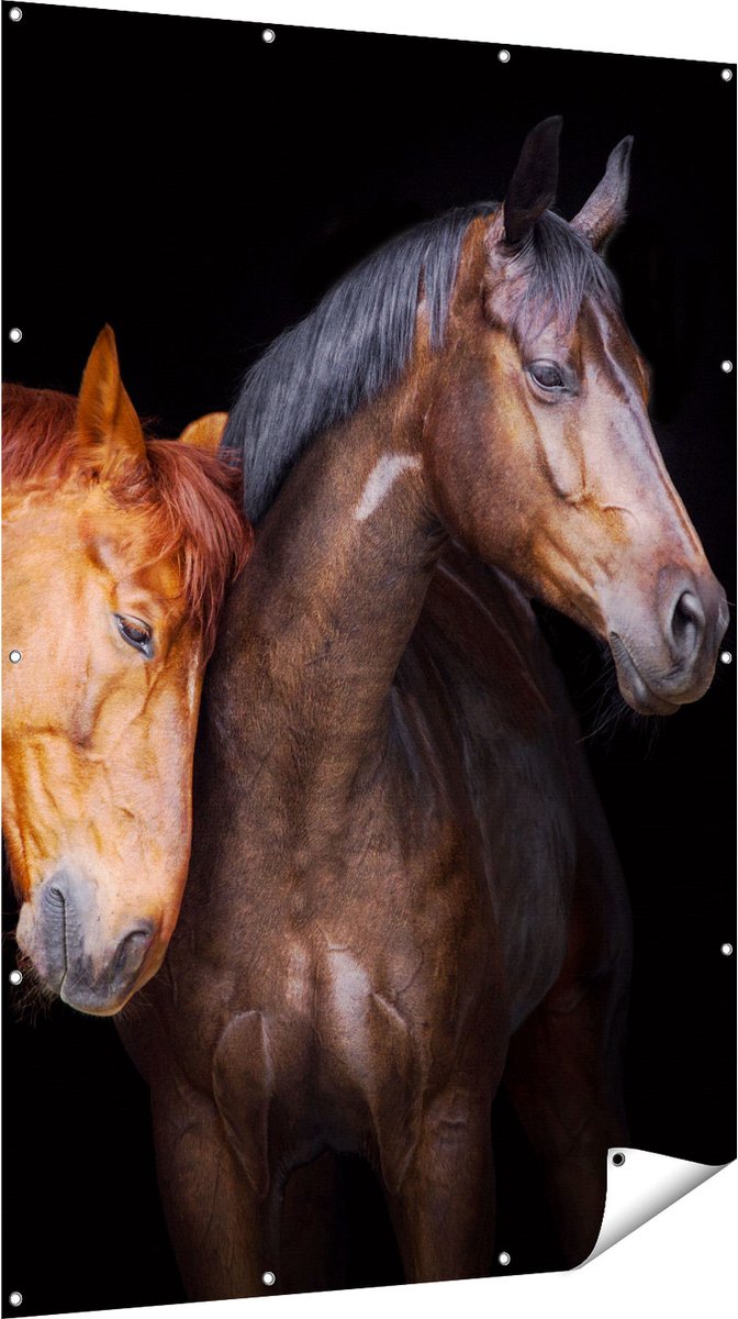 Gards Tuinposter Twee Bruine Paarden Koppel - Liefde - 120x180 cm - Tuindoek - Tuindecoratie - Wanddecoratie buiten - Tuinschilderij Multikleur