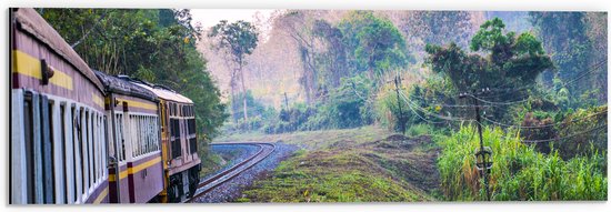 WallClassics - Dibond - Thaise Trein door Groen Natuurgebied in Thailand - 60x20 cm Foto op Aluminium (Met Ophangsysteem)