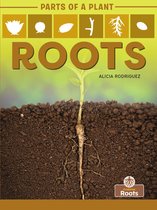 Parts of a Plant - Roots