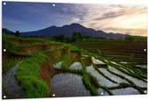 Tuinposter – Volgeregende Rijstvelden in de Bergen van Indonesië - 150x100 cm Foto op Tuinposter (wanddecoratie voor buiten en binnen)