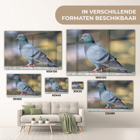 MuchoWow® Peinture sur verre 150x100 cm - Peinture sur verre acrylique - Duif - Vogel - Clôture - Photo sur verre - Peintures