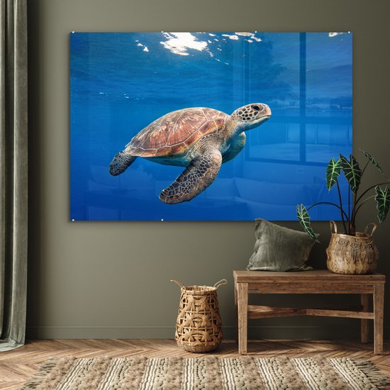Peintures sur verre - Tortue dans l'océan - 150x100 cm - Peintures Plexiglas