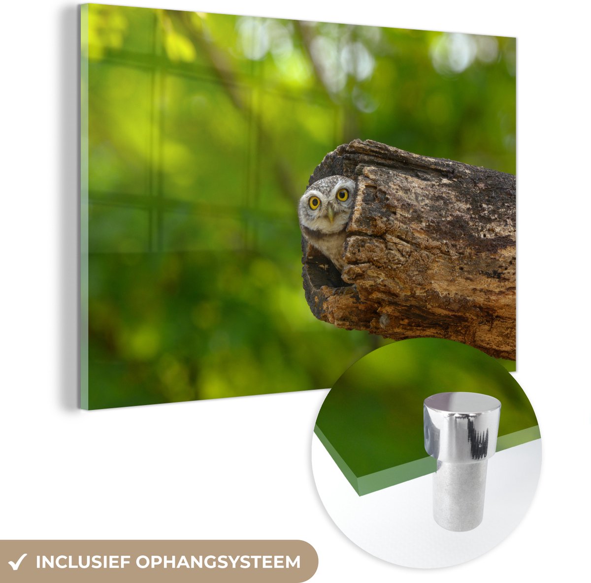 ® Glasschilderij 120x80 cm - Schilderij acrylglas - Uil - Baby - Boom - Foto op glas - Muurdecoratie woonkamer - Wanddecoratie slaapkamer - Schilderijen