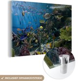 MuchoWow® Glasschilderij 150x100 cm - Schilderij acrylglas - Levendige onderwaterwereld - Foto op glas - Schilderijen
