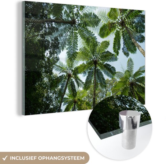 MuchoWow® Glasschilderij 150x100 cm - Schilderij acrylglas - Bomen en bladeren in jungle - Foto op glas - Schilderijen