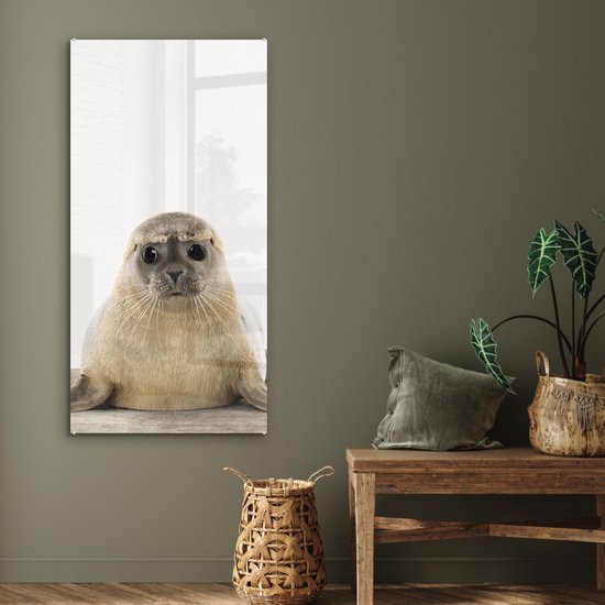 MuchoWow® Peinture sur Verre - Phoque - Animaux - Enfant - Garçons - Filles - Enfants - 60x120 cm - Peintures sur Verre Peintures - Photo sur Glas