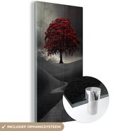 MuchoWow® Glasschilderij 20x40 cm - Schilderij acrylglas - Een zwart-wit foto met een grote rode boom - Foto op glas - Schilderijen
