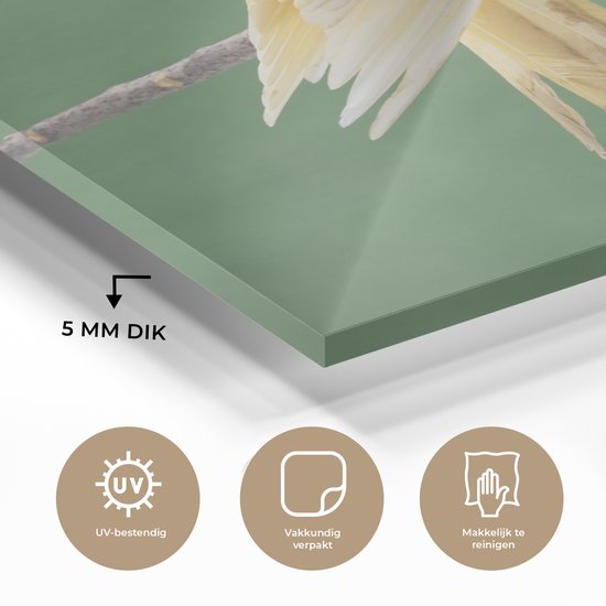 MuchoWow® Peinture sur verre - Calopsitte jaune sur un bâton - 90x120 cm - Peintures sur verre acrylique - Photo sur Glas