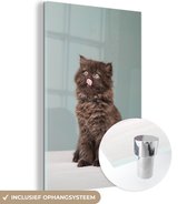 MuchoWow® Glasschilderij 40x60 cm - Schilderij acrylglas - Perzisch kitten steek tong uit - Foto op glas - Schilderijen