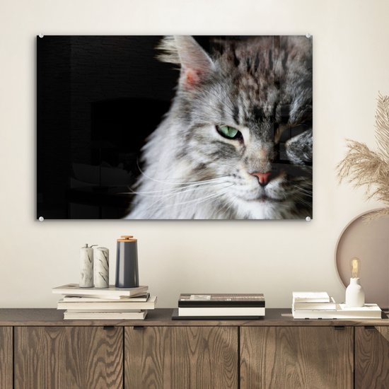 Portrait d'un chat Maine Coon de couleur grise en plexiglas 60x40 cm - Tirage photo sur Glas (décoration murale en plexiglas)