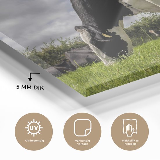 Une vache frisonne avec des nuages sombres au-dessus Plexiglas 120x80 cm - Tirage photo sur Glas (décoration murale en plexiglas)