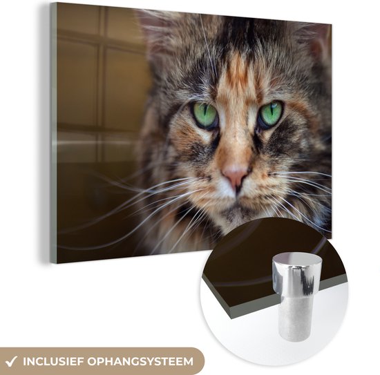 MuchoWow® Glasschilderij 90x60 cm - Schilderij acrylglas - Maine Coon kat met groene ogen - Foto op glas - Schilderijen