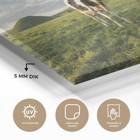 Trois vaches frisonnes dans un cadre magnifique Plexiglas 160x80 cm - Tirage photo sur verre (décoration murale plexiglas)