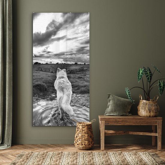 MuchoWow® Glasschilderij 80x160 cm - Schilderij acrylglas - Wolf uitkijkend over landschap in zwart-wit - Foto op glas - Schilderijen