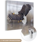 MuchoWow® Glasschilderij 90x90 cm - Schilderij acrylglas - Amerikaanse zeearend - Adelaar - Vogel - Foto op glas - Schilderijen