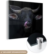 MuchoWow® Glasschilderij 20x20 cm - Schilderij acrylglas - Likkende stier voor een zwarte achtergrond - Foto op glas - Schilderijen