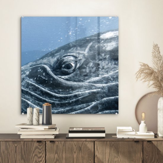 MuchoWow® Glasschilderij 50x50 cm - Schilderij acrylglas - Water - Dieren - Bultrug - Foto op glas - Schilderijen