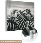 MuchoWow® Glasschilderij 90x90 cm - Schilderij acrylglas - Knuffelende zebra's - Foto op glas - Schilderijen