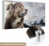 MuchoWow® Glasschilderij 80x40 cm - Schilderij acrylglas - Starende hond - Foto op glas - Schilderijen