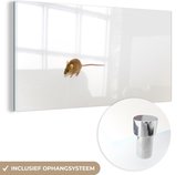 MuchoWow® Glasschilderij 160x80 cm - Schilderij acrylglas - Muis - Dieren - Wit - Foto op glas - Schilderijen