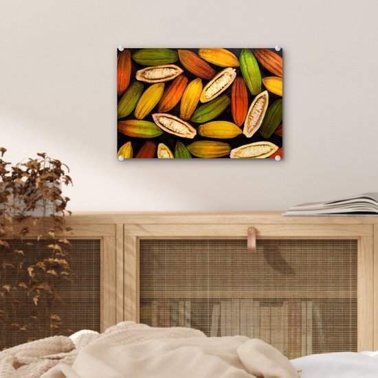 Cabosses ouvertes et fermées des fèves de cacao Plexiglas 30x20 cm - petit - Tirage photo sur Glas (décoration murale plexiglas)