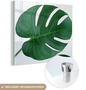 MuchoWow® Glasschilderij 20x20 cm - Schilderij acrylglas - Botanische gatenplant op een lichtgrijze achtergrond - Foto op glas - Schilderijen