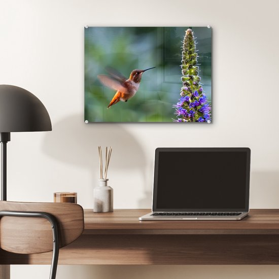 MuchoWow® Peinture sur verre - Vogel - Colibri - Bloem - 40x30 cm - Peintures sur verre acrylique - Photo sur Glas