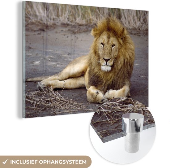 MuchoWow® Glasschilderij 90x60 cm - Schilderij acrylglas - Leeuw - Afrika - Dier - Foto op glas - Schilderijen