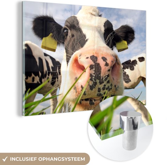 MuchoWow® Peinture sur verre 180x120 cm - Peinture sur verre acrylique - Vache - Ferme - Herbe - Animaux - Photo sur verre - Peintures