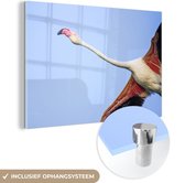 MuchoWow® Glasschilderij 120x80 cm - Schilderij acrylglas - Onderaanzicht van een vliegende flamingo - Foto op glas - Schilderijen