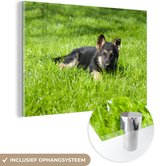 MuchoWow® Glasschilderij 180x120 cm - Schilderij acrylglas - Liggende Duitse herder pup - Foto op glas - Schilderijen