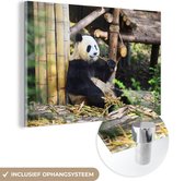 MuchoWow® Glasschilderij 90x60 cm - Schilderij acrylglas - Panda - Hout - Bamboe - Foto op glas - Schilderijen