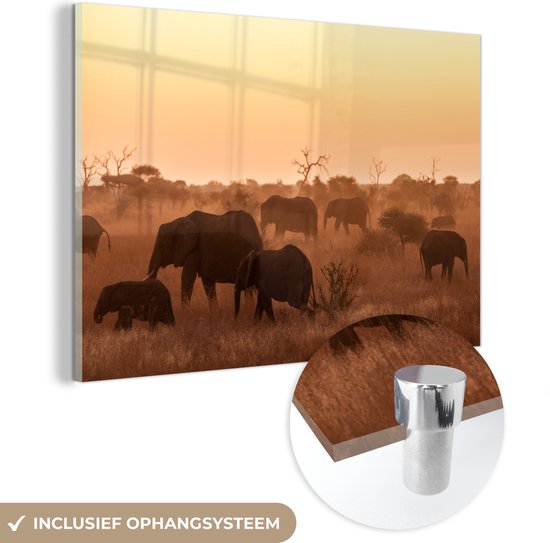 MuchoWow® Glasschilderij 90x60 cm - Schilderij acrylglas - Wilde Afrikaanse olifanten van het nationaal park Kruger in Zuid-Afrika - Foto op glas - Schilderijen