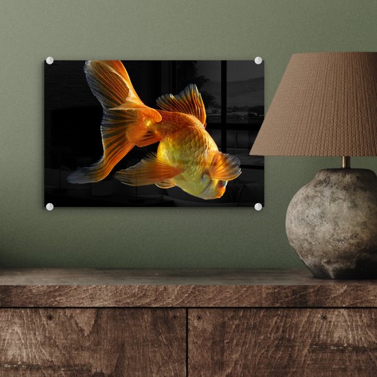 MuchoWow® Peinture sur verre - Poisson rouge - Animaux - Zwart - 30x20 cm - Peintures sur verre acrylique - Photo sur Glas
