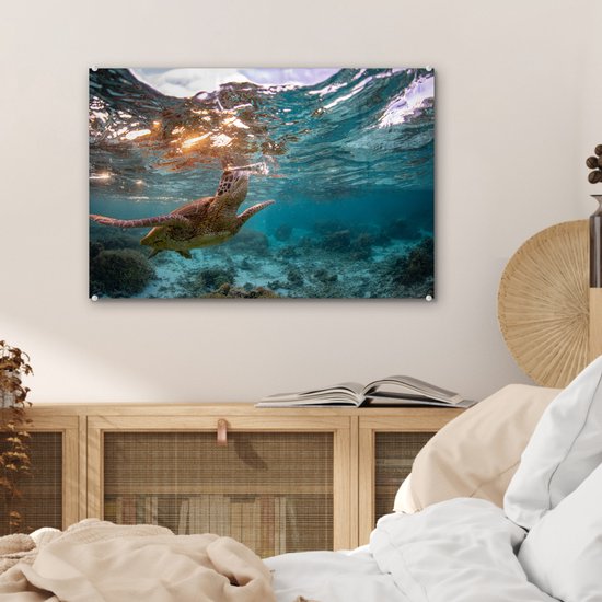 MuchoWow® Peinture sur verre 60x40 cm - Peinture sur verre acrylique - Mer - Tortue - Couleurs - Photo sur verre - Peintures