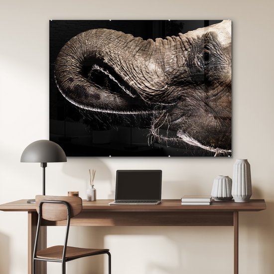 MuchoWow® Peinture sur verre 120x90 cm - Peinture sur verre acrylique - Éléphant - Animaux - Zwart - Nature - Photo sur verre - Peintures
