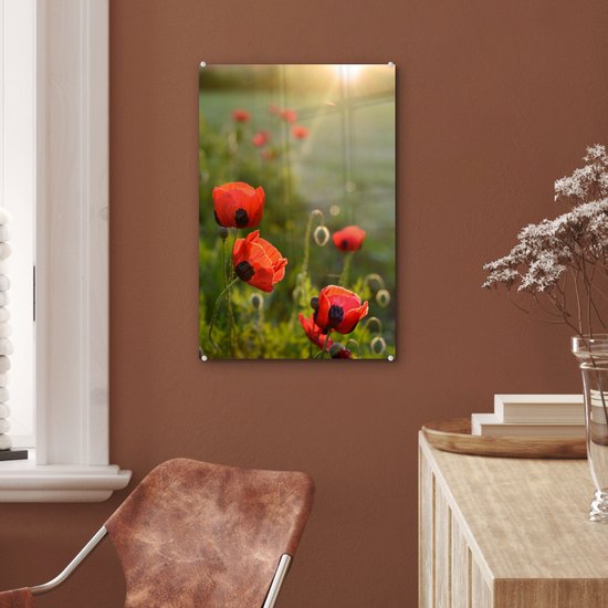 Coquelicots au soleil couchant plexiglas 40x60 cm - Tirage photo sur Glas (Décoration murale en plexiglas)