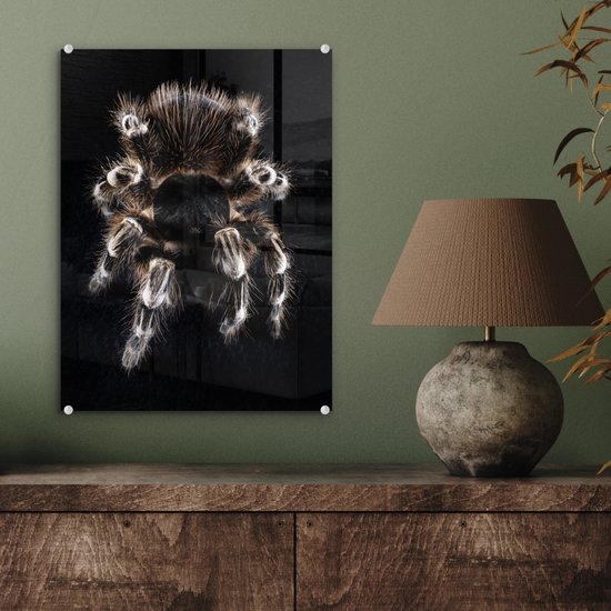 MuchoWow® Peinture sur verre 30x40 cm - Peinture acrylique sur verre - Une tarentule - Photo sur verre - Peintures