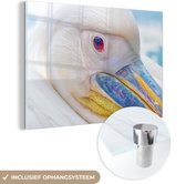 MuchoWow® Glasschilderij 180x120 cm - Schilderij acrylglas - Close-up van een pelikaan - Foto op glas - Schilderijen