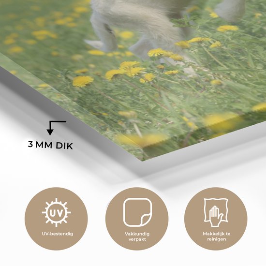 MuchoWow® Peinture sur verre 60x40 cm - Peinture sur verre acrylique - Moutons - Fleurs - Jaune - Photo sur verre - Peintures
