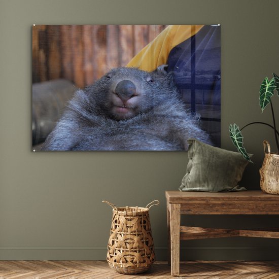 MuchoWow® Peinture sur verre 120x80 cm - Peinture sur verre acrylique - Gros plan wombat endormi - Photo sur verre - Peintures