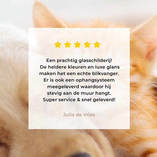 Peinture sur verre - Photo sur verre - Chat - Chien - Chat - Chaton - Couverture - Animaux - Décoration murale - 160x80 cm - Verre acrylique - Peinture animaux - Décoration murale - Peinture sur verre