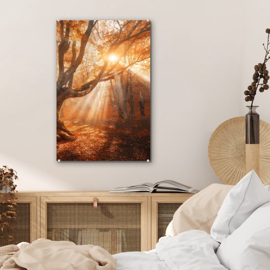 MuchoWow® Peinture sur verre - Arbre - Nature - Automne - 40x60 cm - Peintures sur verre acrylique - Photo sur Glas