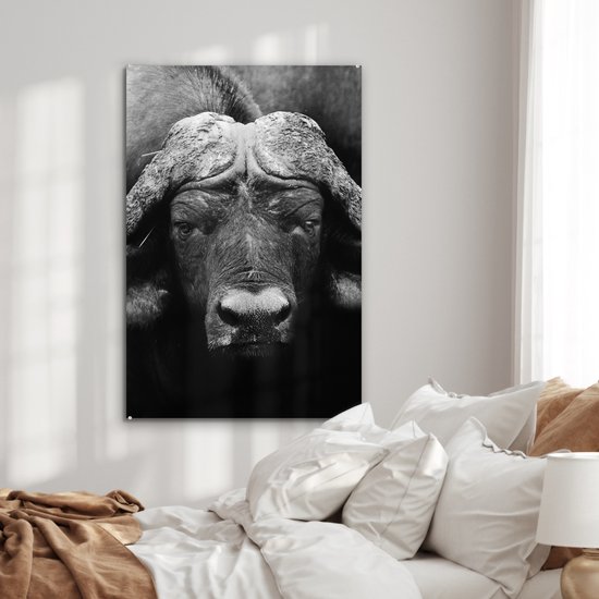 Peinture sur verre - Photo sur verre - Verre acrylique - Animaux - Buffalo - Zwart - Wit - Décoration murale animaux - 60x90 cm - Salon - Décoration de chambre - Décoration murale