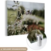 MuchoWow® Glasschilderij 30x20 cm - Schilderij acrylglas - Dagpauwoog vlinder op lavendel - Foto op glas - Schilderijen