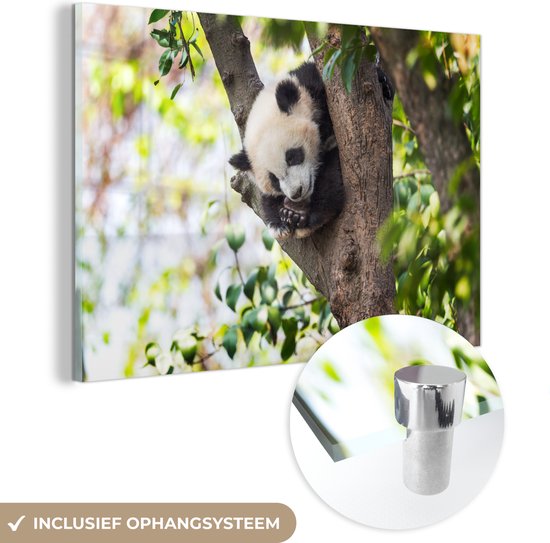 MuchoWow© Canvas Schilderij 60x40 cm Kamer Decoratie Woonkamer Schilderijen Slaapkamer Room Decor Wanddecoratie Wall Art Painting Bos - Natuur - Bloemen - Zon - Boom - Paars MuchoWow© Canvas Schilderij 60x40 cm Kamer Decoratie Woonkamer Schilderijen Slaapkamer Room Decor Wanddecoratie Wall Art Painting Bos - Natuur - Bloemen - Zon - Boom - Paars
