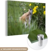 MuchoWow® Peinture sur Verre - Renard - Fleurs - Jaune - 120x80 cm - Peintures sur Verre Peintures - Photo sur Glas