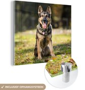 MuchoWow® Peinture sur verre 90x90 cm - Peinture sur verre - Un chien de berger allemand est assis dans l'herbe verte - Photo sur verre acrylique - Peintures